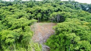 Photo-19-5-24-2-12-22 PM